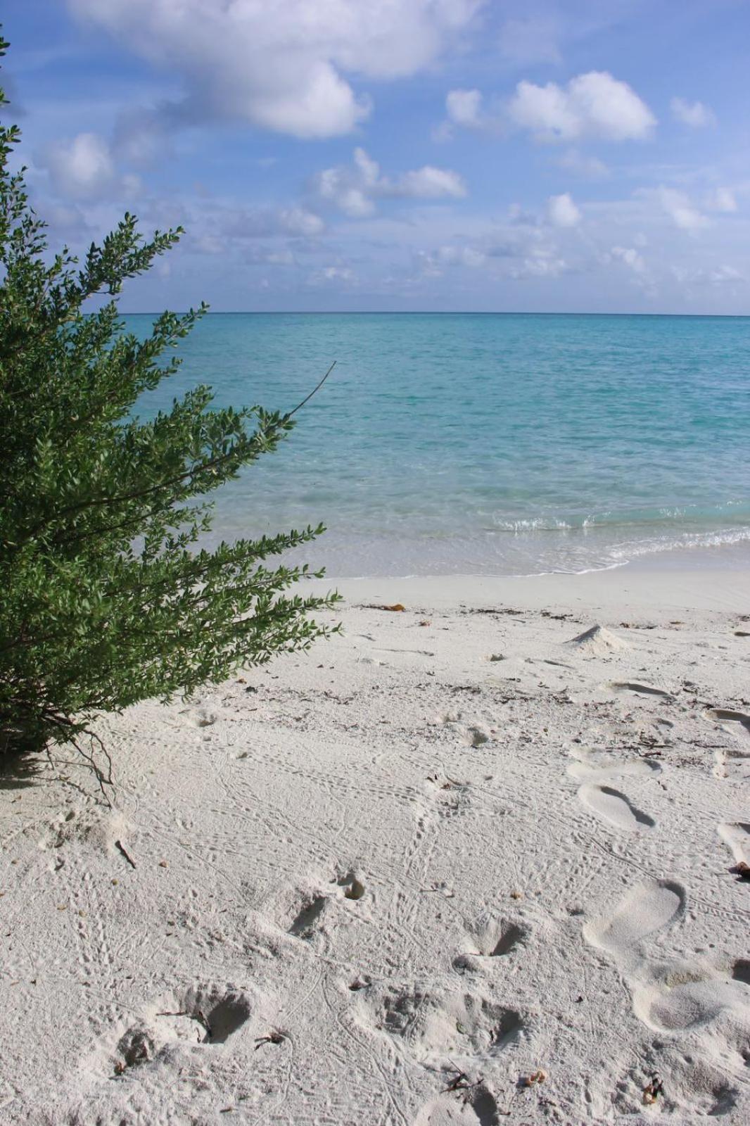 Fehendhoo Isla Retreat酒店 外观 照片