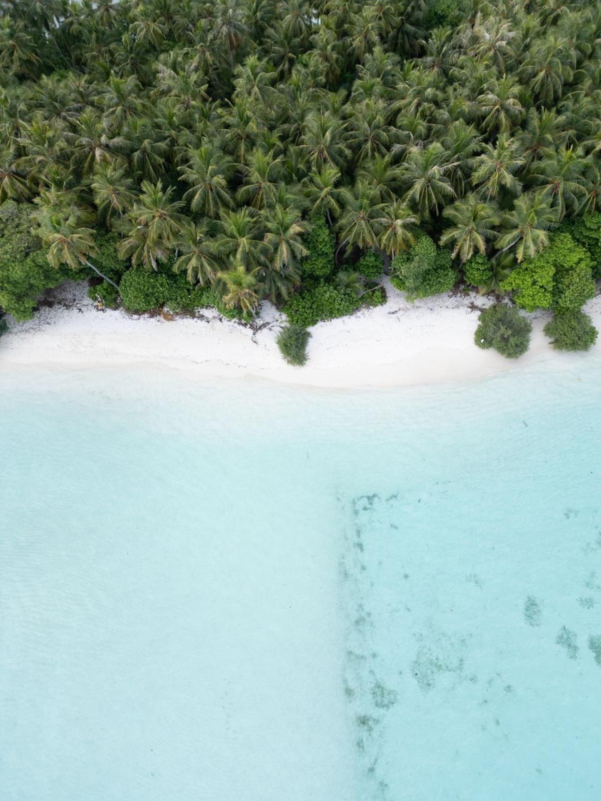 Fehendhoo Isla Retreat酒店 外观 照片